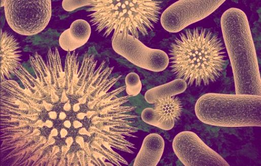 Bacteria, Viruses in Mahabharata